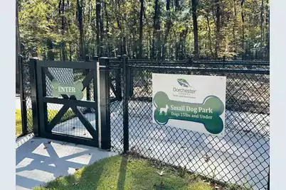 230 Congaree River Drive, Summerville, SC 29485 - Photo 45