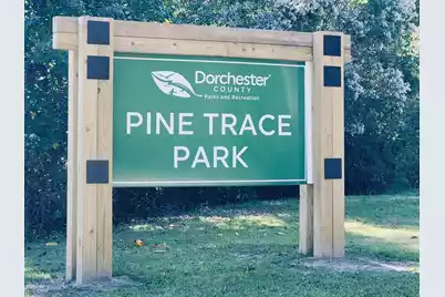 230 Congaree River Drive, Summerville, SC 29485 - Photo 39