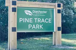 230 Congaree River Dr, Summerville, SC 29485 - Photo 39