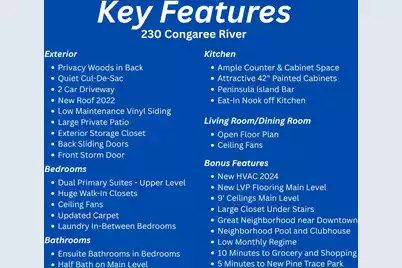 230 Congaree River Drive, Summerville, SC 29485 - Photo 3