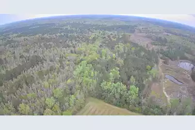 7753 Augusta Highway, Smoaks, SC 29481 - Photo 3