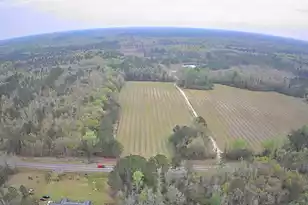 7753 Augusta Hwy, Smoaks, SC 29481 - Photo 1