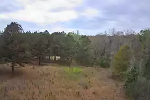 Tbd Salcro Ln Interior Parcel Hwy, Smoaks, SC 29481 - Photo 1