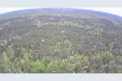 Tbd Salcro Lane Interior Parcel Highway, Smoaks, SC 29481 - Photo 3