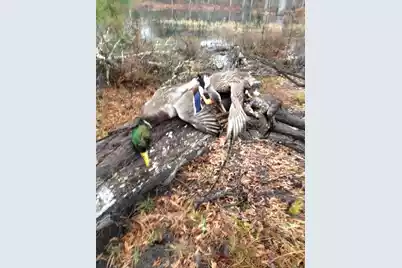 1384 Sandy Landing Lane, Round O, SC 29474 - Photo 49