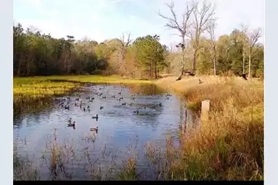 1384 Sandy Landing Lane, Round O, SC 29474 - Photo 39