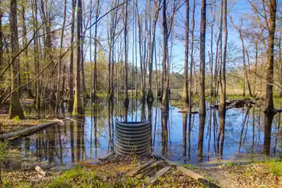 1384 Sandy Landing Lane, Round O, SC 29474 - Photo 33