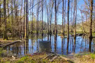 1384 Sandy Landing Ln, Round O, SC 29474 - Photo 33