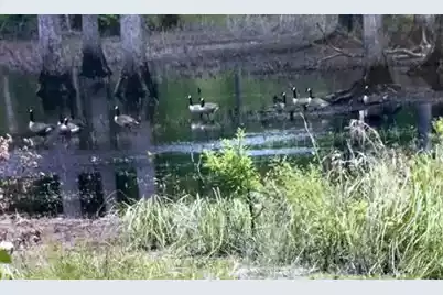 1384 Sandy Landing Lane, Round O, SC 29474 - Photo 41