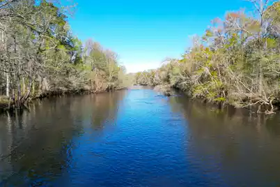 1384 Sandy Landing Lane, Round O, SC 29474 - Photo 37