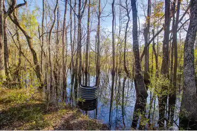 1384 Sandy Landing Lane, Round O, SC 29474 - Photo 35
