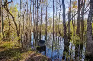 1384 Sandy Landing Ln, Round O, SC 29474 - Photo 35