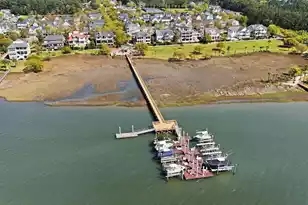 2178 Hartfords Bluff Ln, Mount Pleasant, SC 29466 - Photo 41