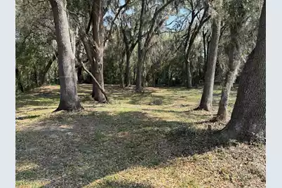 3956 Bulow Plantation Road, Johns Island, SC 29455 - Photo 49