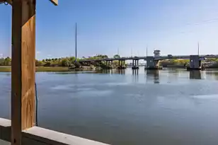 142 Wappoo Creek Dr, Charleston, SC 29412 - Photo 47