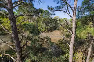 142 Wappoo Creek Dr, Charleston, SC 29412 - Photo 41