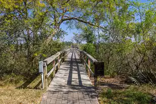 142 Wappoo Creek Dr, Charleston, SC 29412 - Photo 45