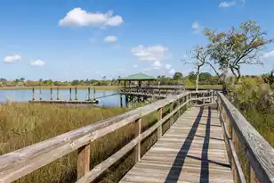 142 Wappoo Creek Dr, Charleston, SC 29412 - Photo 37