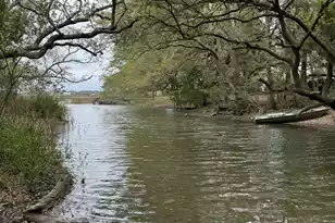 1529 Hunley Ave, Charleston, SC 29412 - Photo 33