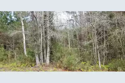 0 Randolph Drive, Smoaks, SC 29481 - Photo 1