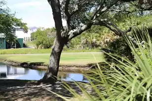 204 Sea Cloud Cir, Edisto Island, SC 29438 - Photo 23