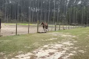 369 Gurney Kay Ln, Saint Stephen, SC 29479 - Photo 43