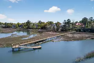 3500 Henrietta Hartford Rd, Mount Pleasant, SC 29466 - Photo 61