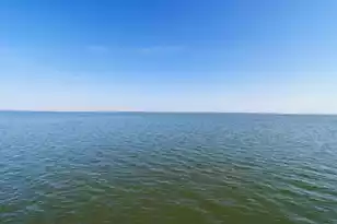 214 Bennette St, Eutawville, SC 29048 - Photo 5