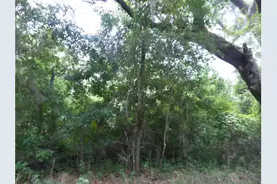 8046 Cedar Hall Road, Edisto Island, SC 29438 - Photo 3