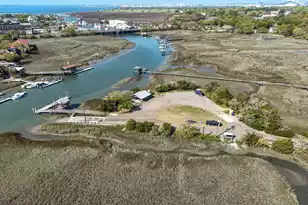 677 Pawley Rd, Mount Pleasant, SC 29464 - Photo 63