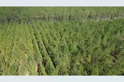 11 Red Oak Road, Cottageville, SC 29435 - Photo 7