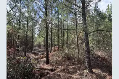 11 Red Oak Road, Cottageville, SC 29435 - Photo 5