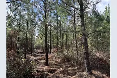 11 Red Oak Road, Cottageville, SC 29435 - Photo 1