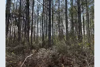 11 Red Oak Road, Cottageville, SC 29435 - Photo 3