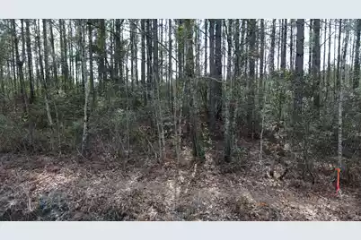 11 Red Oak Road, Cottageville, SC 29435 - Photo 11