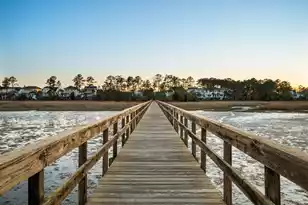 2916 Eddy Dr, Mount Pleasant, SC 29466 - Photo 55