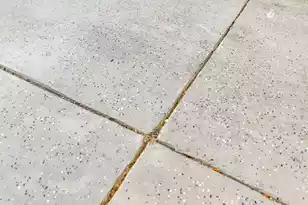 534 Alderly Dr, Moncks Corner, SC 29461 - Photo 19