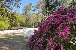 204 Gervais St, Walterboro, SC 29488 - Photo 49