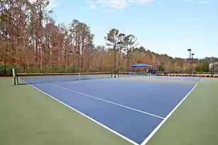 3593 Henrietta Hartford Rd, Mount Pleasant, SC 29466 - Photo 85