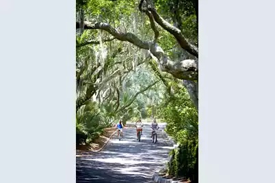 3014 Ocean Winds Drive, Seabrook Island, SC 29455 - Photo 105