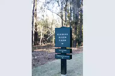 8035 Jack Island Drive, Johns Island, SC 29455 - Photo 57