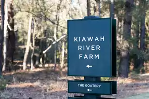 8035 Jack Is Dr, Johns Island, SC 29455 - Photo 57