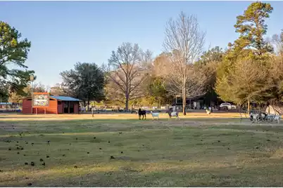 8035 Jack Island Drive, Johns Island, SC 29455 - Photo 61