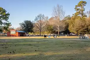 8035 Jack Is Dr, Johns Island, SC 29455 - Photo 61