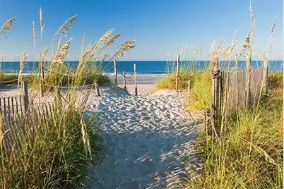 2182 Gulf Drive, Mount Pleasant, SC 29466 - Photo 53