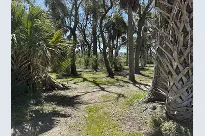 43 Lost Village Trail, Edisto Island, SC 29438 - Photo 19