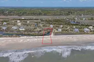 43 Lost Village Trail, Edisto Island, SC 29438 - Photo 1
