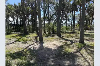 43 Lost Village Trail, Edisto Island, SC 29438 - Photo 21