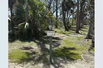 43 Lost Village Trail, Edisto Island, SC 29438 - Photo 3
