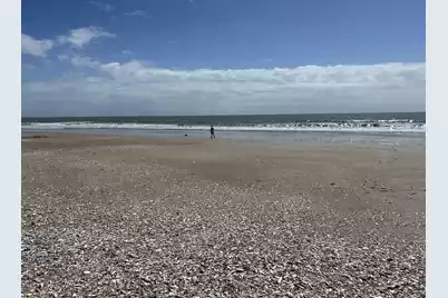 43 Lost Village Trail, Edisto Island, SC 29438 - Photo 7